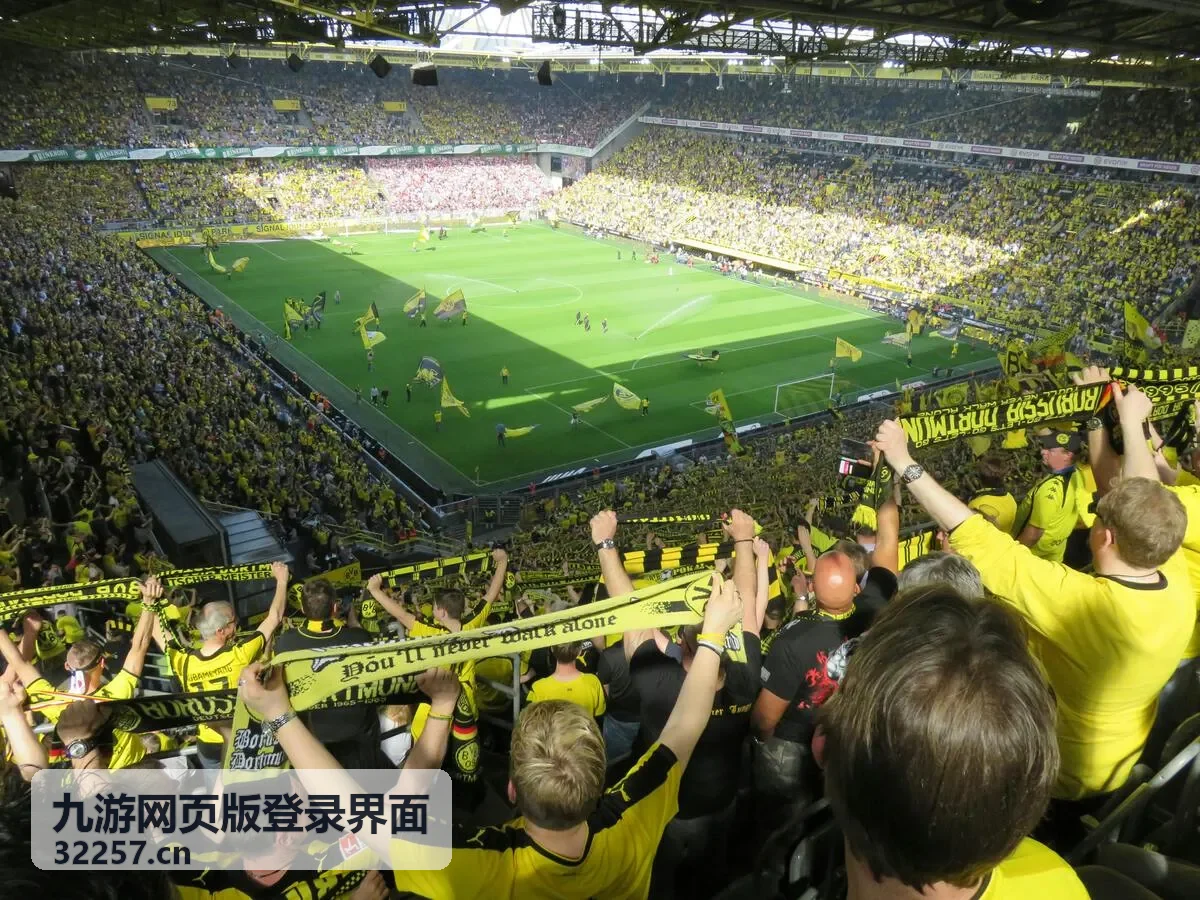 九游网页版登录界面密码与验证码示意